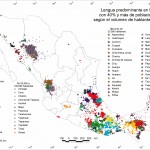 mapa_nacional_lenguas_indigenas_cdi